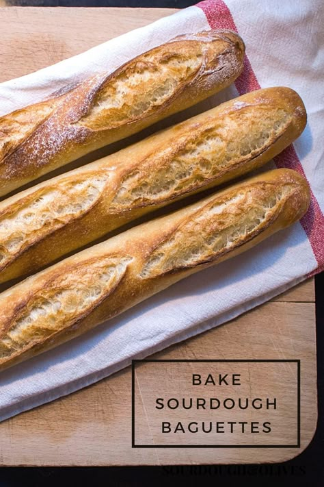 Lerna how to bake sourdough baguette Sourdough Baguettes, Sour Dough French Bread Recipe, Sourdough French Bread, Sourdough Baggett Recipe, Sourdough Baguette, Sour Dough Baguette, Baguette Sourdough, Sourdough French Bread Recipe, Quick Sourdough Baguette