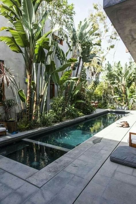 Transform Your Backyard into a Paradise with these Incredible Narrow Pool, Outdoor Nook, Pool Design Modern, Luxurious Backyard, Kleiner Pool Design, Tropical Outdoor, Small Yards, Pool Landscape Design, Small Pool Design