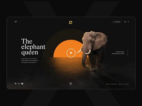 Animated GIF - Find & Share on GIPHY Transformation Design Concept, Parallax Website, Google Design, Interactive Web Design, Ui Animation, Webdesign Inspiration, Ui Design Website, Portfolio Website Design, Ux Design Inspiration