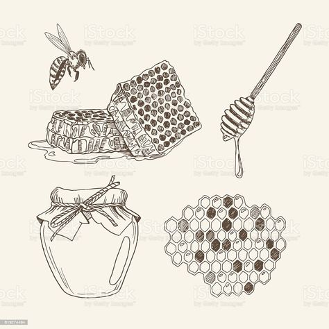 Honey Jar Tattoo, Honey Combs, Honeycomb Tattoo, Retro Illustrations, Honey Dipper, Honey Jar, Retro Illustration, Honey Bee, Honeycomb