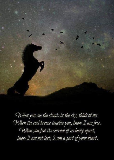 Wild Horses Quotes, Horse Poems, Horses Quotes, Inspirational Horse Quotes, Horse Riding Quotes, Equestrian Quotes, Horse Memorial, Cowgirl Quotes, Riding Quotes