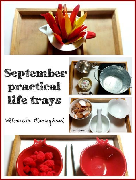 Montessori inspired September practical life and fine motor activities for preschoolers by Welcome to Mommyhood #montessori, #practicallife, #finemotoractivities Fine Motor Activities For Preschoolers, Motor Activities For Preschoolers, Life Activities, Practical Life Activities, Apple Unit, Montessori Homeschool, Montessori Practical Life, Montessori Toddler Activities, Farm Activities