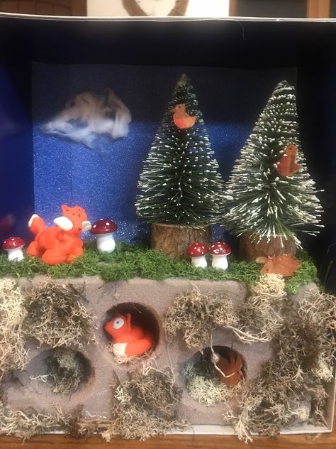 Fox Habitat School Project, Fox Craft Preschool, Fox Habitat, Shoe Box Diorama, Fox Craft, Biomes Project, Habitat Project, Diorama Kids, Habitats Projects