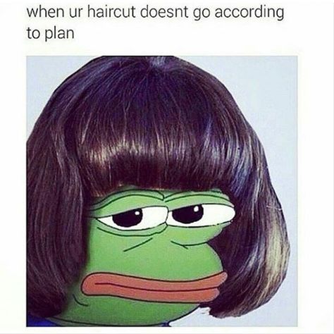 Seven DIY Hair Fails That Will Make You Cringe, Then Laugh Bob Meme, Hair Meme, Hair Fails, Black Bob Hairstyles, Frog Meme, Bad Haircut, Bob Haircut With Bangs, Epic Fails Funny, Haircuts With Bangs