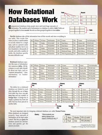 Networking Basics, Ms Access, Microsoft Access, Access Database, Web Development Programming, Computer Science Programming, Data Science Learning, Learn Computer Science, Database Design