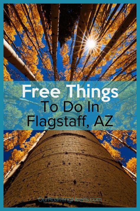 Cheap Travel Usa, Arizona Ghost Towns, Travel Arizona, National Park Passport, Arizona Trip, Frugal Travel, Usa Places To Visit, Arizona Vacation, Arizona Road Trip