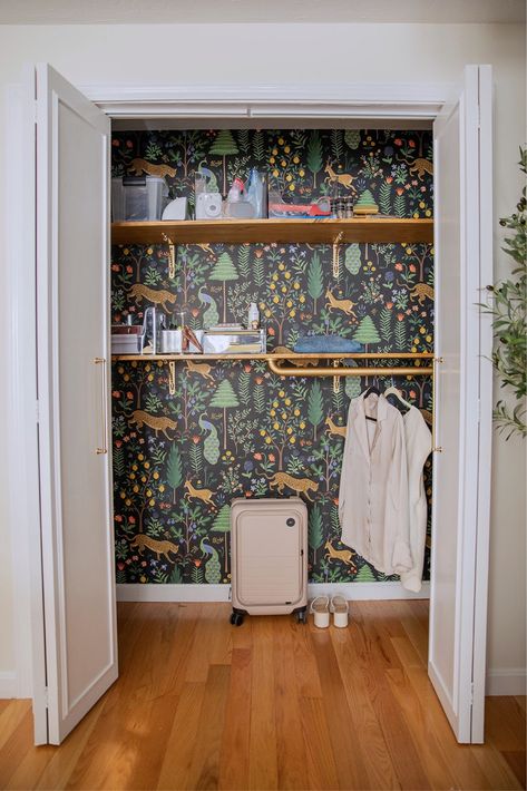 Coat closet ideas