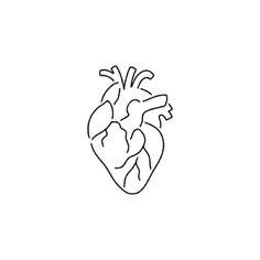 Human Heart Outline, Brain Drawing Simple, Human Heart Tattoo, Anatomical Heart Drawing, Human Heart Drawing, Brain Drawing, Stick Poke Tattoo, Brain Tattoo, Anatomical Heart Tattoo