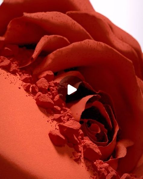 bus.group on Instagram: "Rose reveal developed and produced for Lancôme’s L’Absolu Rouge campaign.  Big thanks to @publicisluxe for bringing us along.  #busgroup #cgi #3d #animation #motion #lancomebeauty" Rose Animation, Launch Video, Abstract Rose, Video Design, 3d Animation, Abstract Design, Motion, Roses, Bring It On