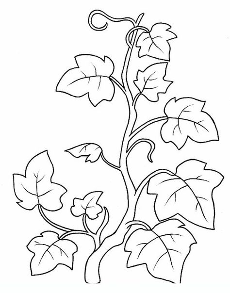 Ivy Flowers coloring pages Vine Drawing, Vine And Branches, Garden Coloring Pages, Arte Folk, Leaf Template, Printable Adult Coloring Pages, Leaf Coloring, Flower Template, Flowering Vines