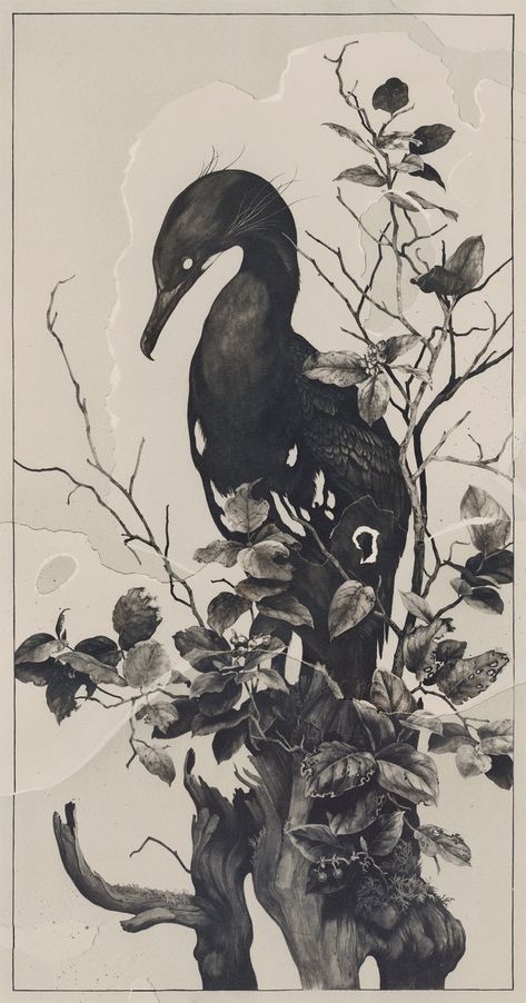 Teagan White, Mystical Art, Ink Illustrations, Giclee Art, Giclee Art Print, White Art, Bird Art, Art Sketchbook, Dark Art