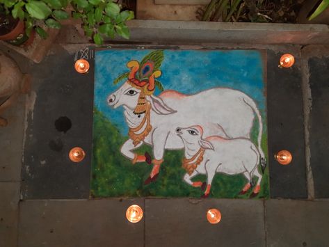 Diwali || vasu baaras rangoli for diwali || Rangoli Designs For Vagh Baras, Vagh Baras Rangoli, Cow Rangoli, Baras Rangoli, Vasu Baras Rangoli, Gods Drawing, Colour Kolam, Rangoli For Diwali, Cow Drawing