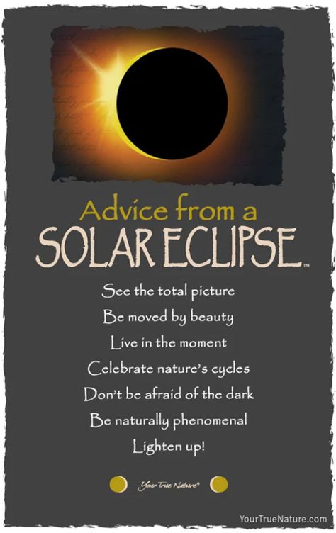 Eclipse Quote, Eclipse Art, Eclipse Party, Rochester Mn, Live In The Moment, Total Eclipse, Afraid Of The Dark, Beauty Advice, Advice Quotes