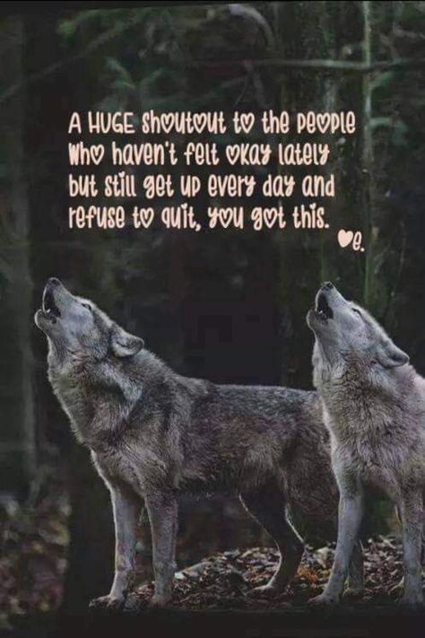 Native American Wolf Quotes, Wolf Pack Quotes, Native American Quotes Wisdom, Native American Wolf, American Quotes, Native American Quotes, Wolf Quotes, Self Care Bullet Journal, Quotes Wisdom