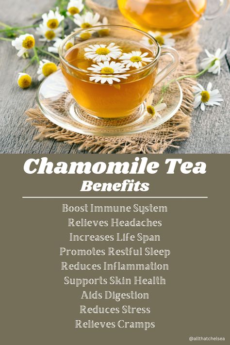 Discover the incredible chamomile tea benefits that can transform your daily routine. This soothing herbal tea is renowned for its ability to reduce stress, aid digestion, and promote restful sleep. Did you know that chamomile also has anti-inflammatory properties that can benefit your skin and overall wellness?  Curious about more chamomile health benefits? Check out my blog for in-depth insights on how chamomile can support your health naturally. Benefits Of Chamomile Tea, Benefits Of Chamomile, Matricaria Chamomilla, Chamomile Tea Benefits, Chamomile Plant, Tea For Colds, Tea Health Benefits, Herbs For Health, Tea Benefits