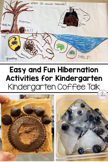 Hibernation Kindergarten, Hibernation Preschool Activities, Hibernation Preschool, Hibernation Activities, Kindergarten Inquiry, Animals That Hibernate, Winter Kindergarten, Coffee Talk, Winter Preschool