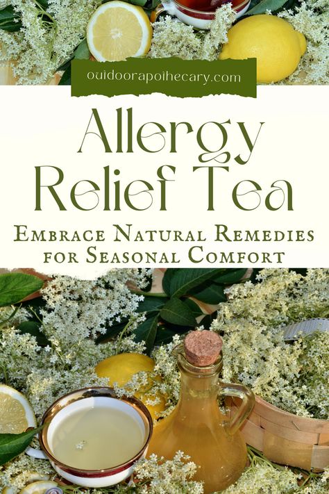 Elderflower Tea Recipe, Nettle Tea Recipe, Diy Herbal Tea Blends, Herbs For Allergies, Outdoor Apothecary, Diy Herbal Tea, Herb Cabinet, Growing Herbs In Pots, Herbalism For Beginners