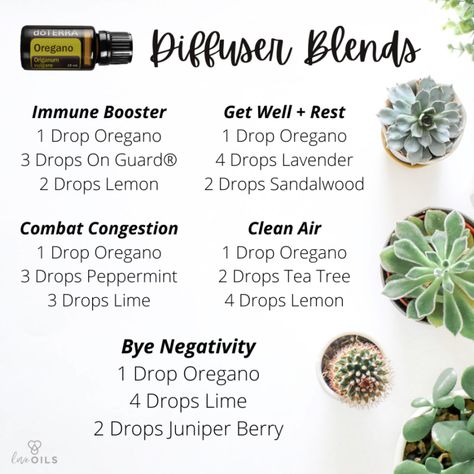 Oregano Essential Oil, Doterra Diffuser Blends, Doterra Essential Oils Recipes, Essential Oil Diffuser Blends Recipes, Essential Oils Guide, Essential Oils Herbs, Essential Oil Diffuser Recipes, Oil Diffuser Recipes, Essential Oil Blends Recipes