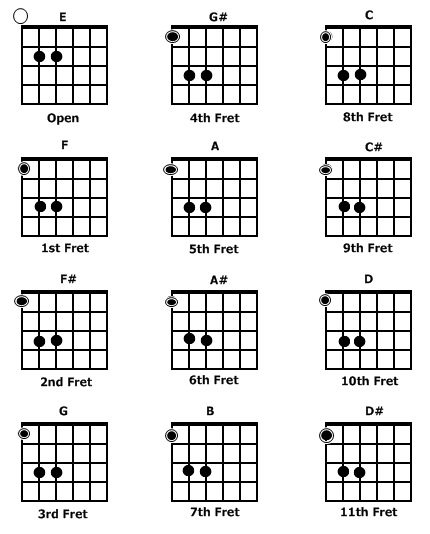 Guitar chords (cause I can't remember this shit) Guitar Chords For Beginners, Chords For Beginners, Guitar Chords And Scales, Chords Guitar, Electric Guitar Lessons, Guitar Cord, Learn Guitar Chords, Basic Guitar Lessons, Music Theory Guitar