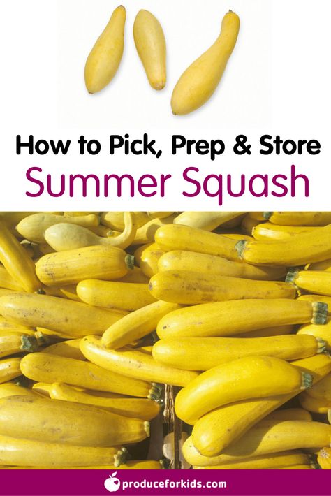 How To Store Squash, How To Store Yellow Squash, How To Freeze Squash, Storing Squash, Storing Veggies, Gardening Therapy, Store Produce, Garden 101, Food Studies