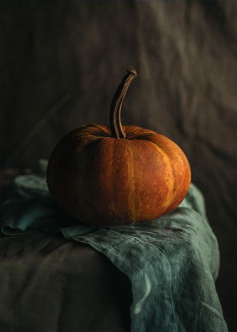 Pumpkin Photography, October Country, Still Life Pictures, Object Photography, Still Life Photos, Still Life Art, Autumn Cozy, Life Drawing, Still Life Painting