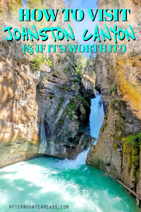 johnston canyon lower falls. A water fall through two rock walls leading into a pool of teal colour Johnson Canyon Banff, Johnston Canyon Banff, Banff Trip, Banff National Park Canada, Johnston Canyon, Canada Trip, Banff Canada, Fall Hiking, Travel Places