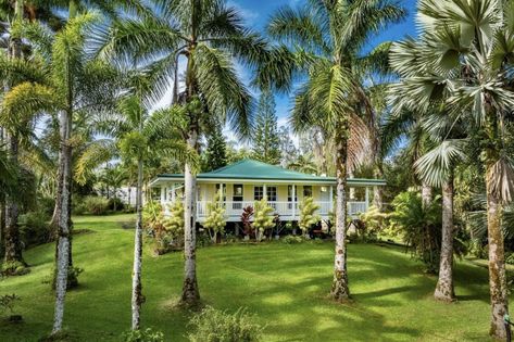 1999 Hawaiian Country Home For Sale With Views, Guesthouse, Greenhouse And Orchard on 3 Private Acres Hawaii $493,000 Hawaii Cottage Interior, Hawaiian Style Homes, Hawaiian House Exterior, Honokaa Hawaii, Hawaii Houses, Hawaiian Beach House, Hawaii Beach House, Tropical Farm, Hawaiian House