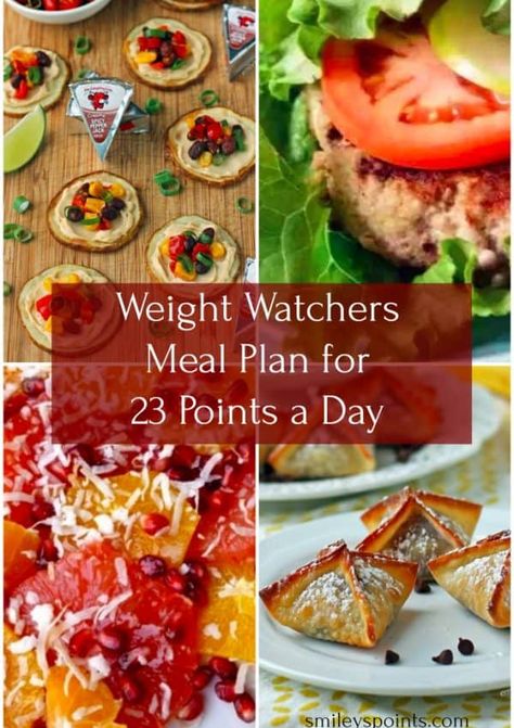 Weight Watcher Point System, Weight Watchers Meal Plan, Ww Meal Plan, Low Points Weight Watchers, Weight Watchers Menu, Weight Watchers Points Plus, Weight Watchers Plan, Smoothies Vegan, Weight Watchers Meal Plans