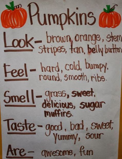 A great idea for discussing adjectives and the 5 senses! Pumpkin Investigation, Pumpkin Lessons, Pumpkins Preschool, October Lessons, Pumpkin Unit, October Activities, Fall Preschool Activities, Pumpkin Activities, Fall Lessons