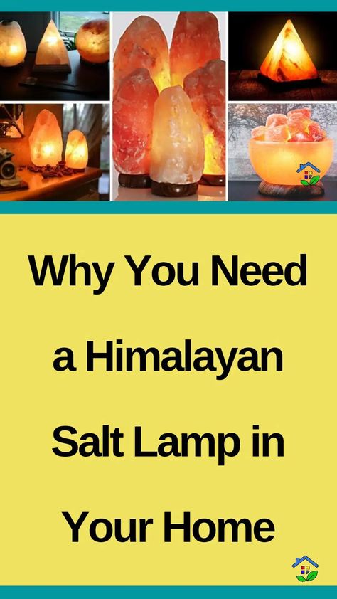 Light up your life with a Himalayan salt lamp: the illuminating way to improve both your health and ambiance. Right off the bat, investing in a Himalayan salt lamp is truly a purchase that you can feel good about. It has so many benefits that make it a super lamp that doesn’t only light up […] Himalayan Salt Benefits, Salt Lamps, Himalayan Salt Lamp, Salt Lamp, Himalayan Salt, Himalayan, Health Benefits, Light Up, Feel Good