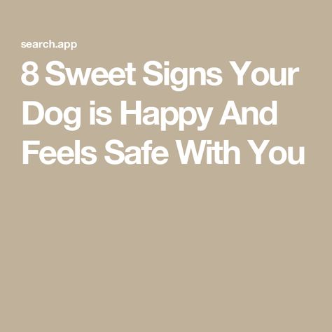 8 Sweet Signs Your Dog is Happy And Feels Safe With You What Is A Soul, Dog Cuddles, Excited To See You, Happy Hormones, Sleeping Habits, Feel Happy, Sleeping Dogs, Service Animal, Dog Show