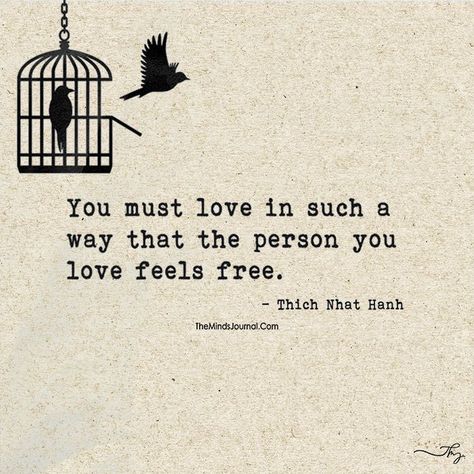 Free As A Bird Quotes, Freedom Love Quotes, Love Birds Quotes, Birds Quotes, Quotes Freedom, Free As A Bird, Bird Quotes, Freedom Quotes, Freedom Love