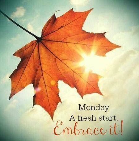 Happy Monday! Enjoy the beautiful day and make it a great week! 🌞 Hate Mondays Funny, Monday Inspirational Quotes, Good Monday Morning, Beautiful Monday, Good Morning Happy Monday, Happy Weekend Quotes, Hate Mondays, Weekday Quotes, Monday Inspiration