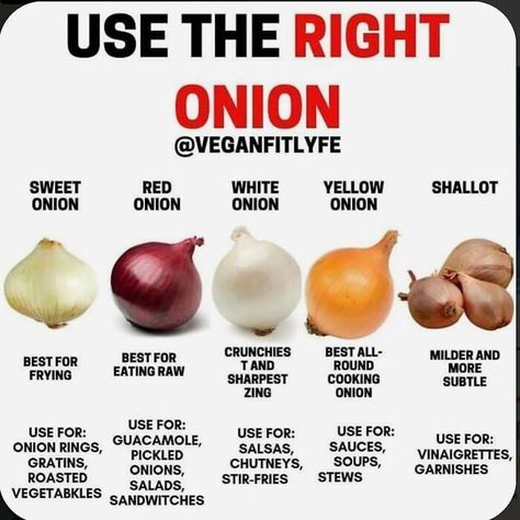 Onion Use Guide Types Of Onions, Food Info, Stir Fries, Food Facts, Eating Raw, Onion Rings, Cooking Ideas, Shallots, Baking Tips