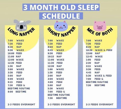 Three months after giving birth, the “newborn honeymoon phase” starts to wear off and parents become eager to settle into a predictable routine with their baby. ⁠ ⁠ Whether your baby is an “easy sleeper” or not, most moms and dads start craving a predictable sleep schedule for their 3 month old baby.⁠ ⁠ The majority of babies this age need to eat at night. But, small changes to your 3 month old’s sleep schedule can help you start getting longer stretches of night sleep. 3 Month Old Schedule, 3 Month Old Sleep, Three Month Baby, Baby Routine, Newborn Needs, 3 Month Old, 3 Month Old Baby, Baby Schedule, Newborn Baby Tips