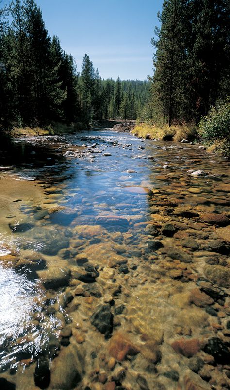 Elkhorn Drive Scenic Byway ~ Baker City, Oregon | Travel Oregon Oregon Scenery, Baker City Oregon, Oregon Portland, Travel Oregon, Beautiful Oregon, Oregon Washington, Scenic Byway, Oregon Travel, Scuba Diving