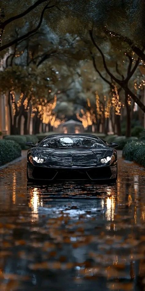 Lamborghini Aventador Wallpaper, Expensive Sports Cars, Mustang Wallpaper, Cool Car Pictures, Most Expensive Car, Super Luxury Cars, Expensive Cars, Sports Cars Luxury, Lamborghini Aventador