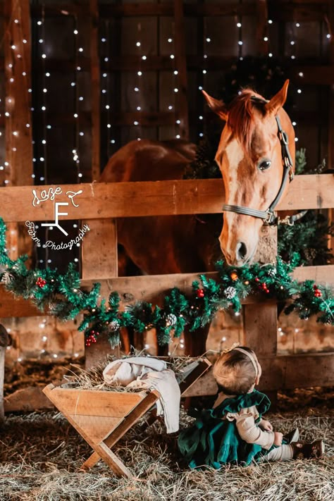 Ranch Christmas Photoshoot, Nativity Scene Photoshoot, Christian Christmas Photoshoot, Cow Christmas Photoshoot, Country Christmas Photos, Christmas Pony Photoshoot, Western Christmas Family Photos, Stock Trailer Christmas Photos, Christmas Photos With Horses