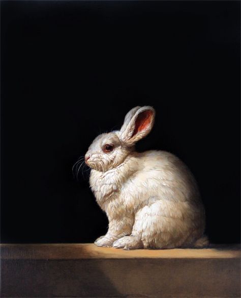 House Beautiful: Elegant Neutrals | ZsaZsa Bellagio - Like No Other Rabbit Painting, White Rabbits, Rabbit Art, Bunny Art, Pet Rabbit, Arte Animal, Woodland Creatures, White Rabbit, Animal Paintings