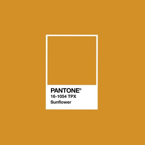 Sunflower color palette Pantone Pantone Sunflower, Honey Color Palette, Yellow Pantone, Pantone Swatches, Sunflower Colors, Honey Color, Red Colour Palette, Paint Color Schemes, Color Palette Bright