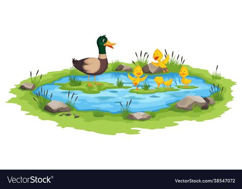 Pond Cartoon, Duck In Pond, Pond Clipart, Fun Phonics Activities, Duck Family, Preschool Decor, Wild Duck, Duck Pins, House Cartoon