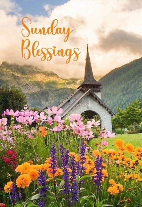 10 Blessed Sunday Quotes To Keep Blessings In Your Life Sunday Blessings Inspiration Life, Sunday Blessings Inspiration Faith, Sunday Blessings Mornings, Good Sunday Morning Blessings, Sunday Blessings Inspiration, Good Morning Sunday Blessings, Sunday Blessings Quotes, Blessed Sunday Quotes, Blessed Sunday Morning