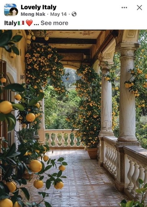 Italian Villa Aesthetic, Italian Countryside Aesthetic, Italian Countryside House, Small Italian Villa, Tuscany Aesthetic, Vineyard House, Queen Anne House, Taman Air, Mediterranean Aesthetic