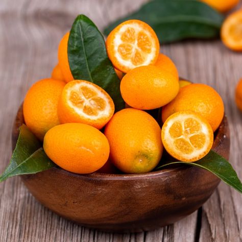 Kumquat Tree Kumquat Aesthetic, Kumquat Tree, Full Sun Plants, Garden Life, Sun Plants, Plant Spacing, Winter Light, Orange Fruit, Plant Roots