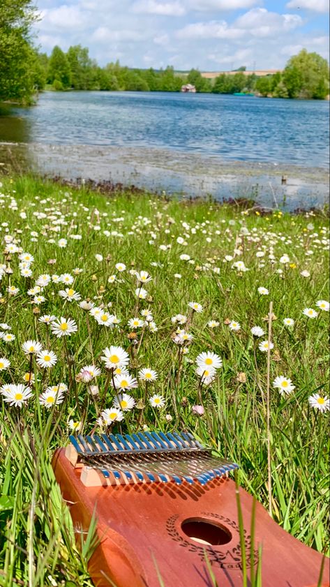 Kalimba en plein milieu d’herbe abec de petites fleurs au bord d’un lac Kalimba Aesthetic, Music In Nature, Liquid Architecture, Maladaptive Daydreaming, Vision Board Party, 21st Party, Victorian Aesthetic, Guitar Pics, Nature Music