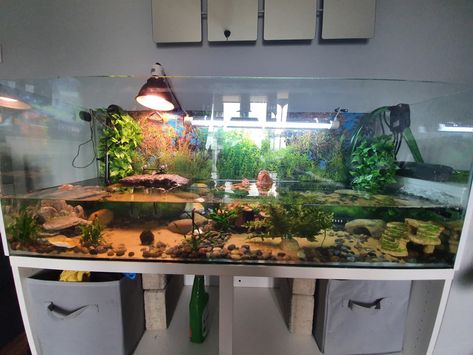 Turtle Basking Area, Tartaruga Habitat, Aquatic Turtle Habitat, Aquatic Turtle Tank, Turtle Tank Setup, Turtle Enclosure, Turtle Basking Platform, Turtle Terrarium, Red Eared Slider Turtle