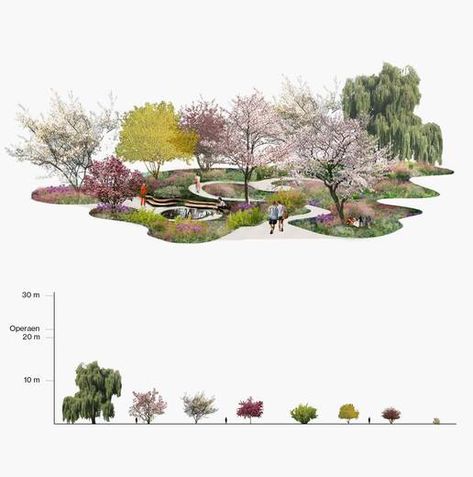 Landscape Architecture Presentation, Landscape Diagram, Landscape Architecture Diagram, Landscape Architecture Graphics, Landscape Design Drawings, Landscape Architecture Drawing, Urban Landscape Design, Med Tech, Planting Plan