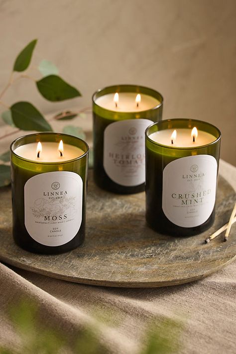 A luxurious and useful gift for anyone in your life! Arriving in a full size set of three botanical-forward scents, these Linnea candles are a fan favorite year after year. Perfect to burn in any room, at any time of year, with sophisticated notes. Scent Notes Crushed Mint: lemon zest, wild mint, clary sage Heirloom Tomato: ripe tomato, green stem, soil Moss: eucalyptus, cedar wood, oakmoss | Linnea Candle Gift Set, Botanik at Terrain Candle Testing Sheet, Popular Candle Scents, Pretty Candles, Candle Designs, Unique Jars, Popular Candles, Wild Mint, Candle Logo, Candles Aesthetic