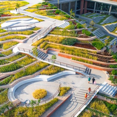 Urban Rooftop, Urban Heat Island, Urban Agriculture, Sustainable City, Agricultural Practices, Urban Farming, Modern Landscaping, Green Roof, Urban Planning