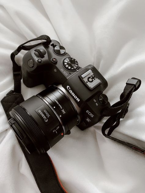 Canon EOS RP first impressions – Audrey Walsh Photography Canon Camera Aesthetic, Hero Poses, Canon Eos Rp, Vlog Camera, Surprises For Husband, Hobbies For Women, 2160x3840 Wallpaper, Things To Do At Home, Newest Cell Phones